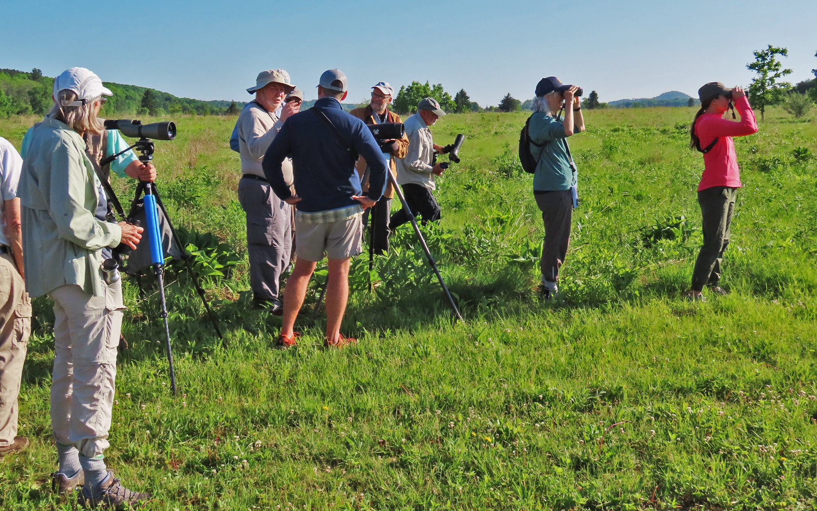 Bird watchers dispersed in an open field. Some of the pictured birders use binoculars to scan the sky.