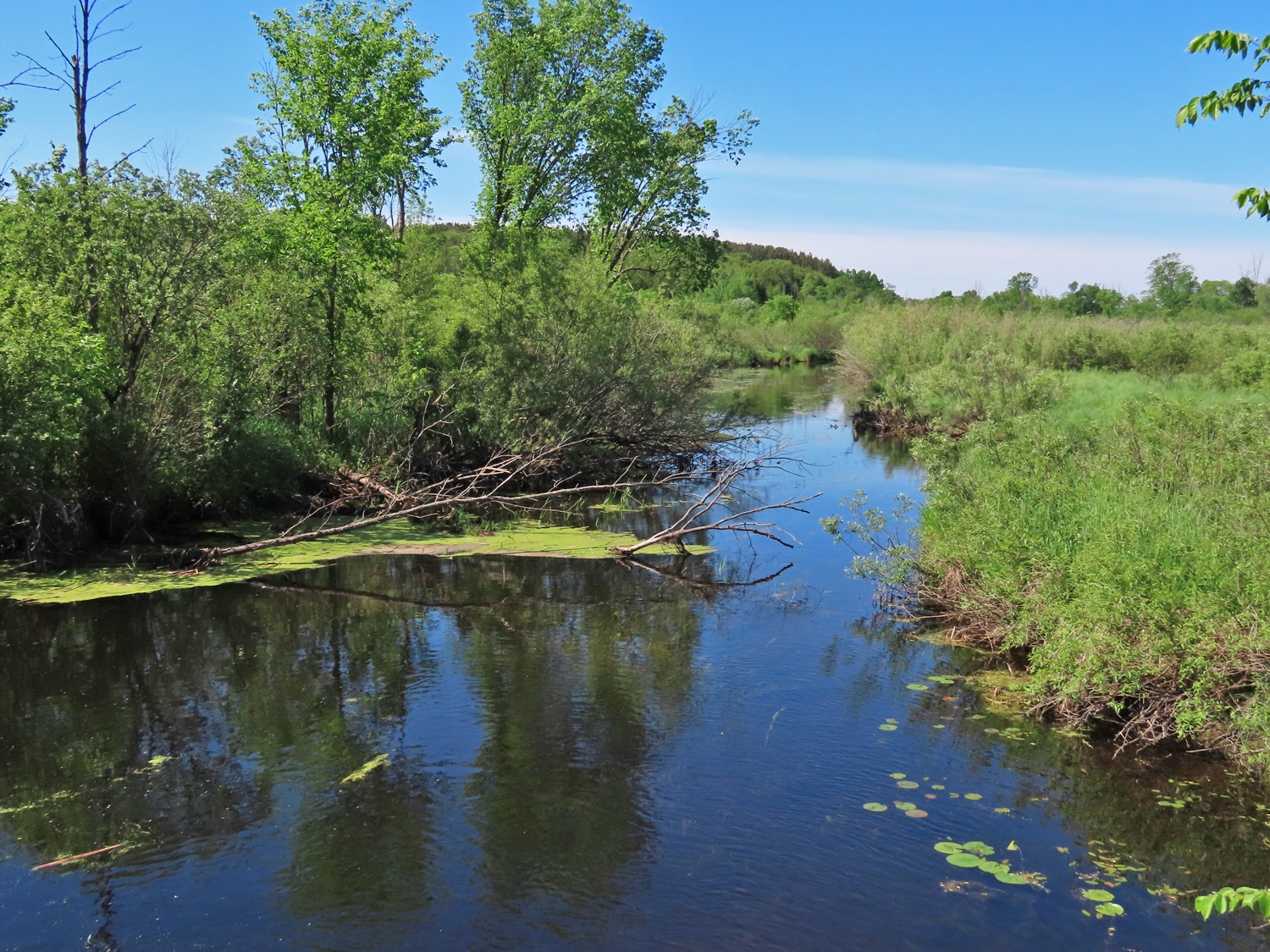A large creek runs through a green Wisconsin landscape.