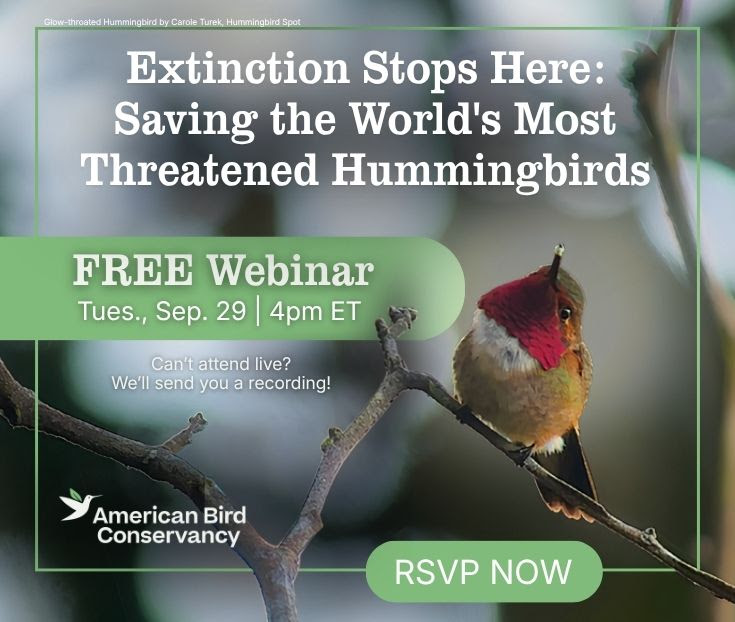 ABC 9.29.26 webinar