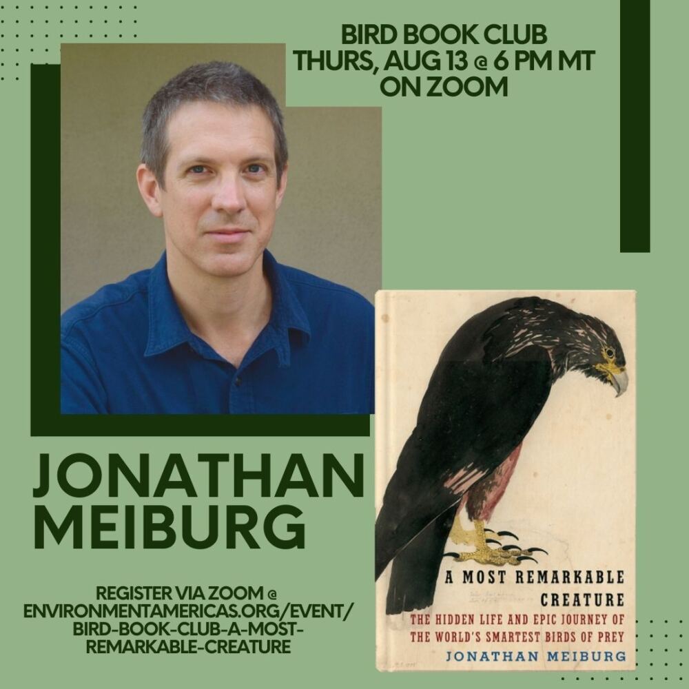 08. August 1000x1000