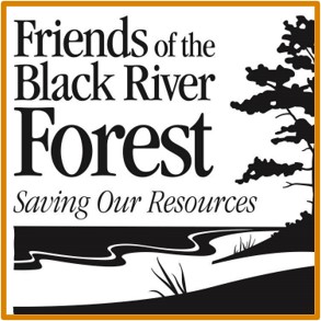 Friends of the Black River Forest