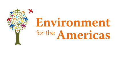 EFTA logo colorful