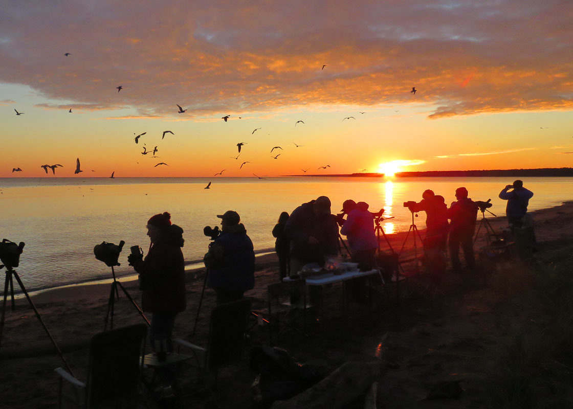 WI Point 2018 9 22 6143 birders on beach sunrise