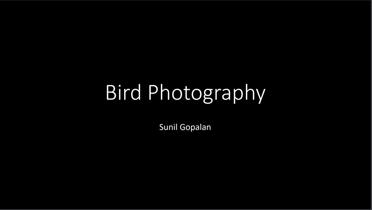 wso 2023 bird photo presentation