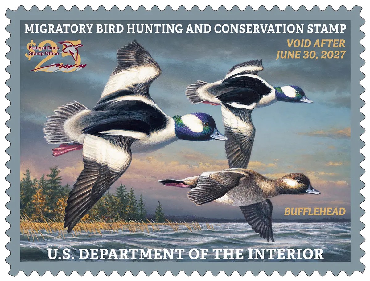 2026 2027 duck stamp